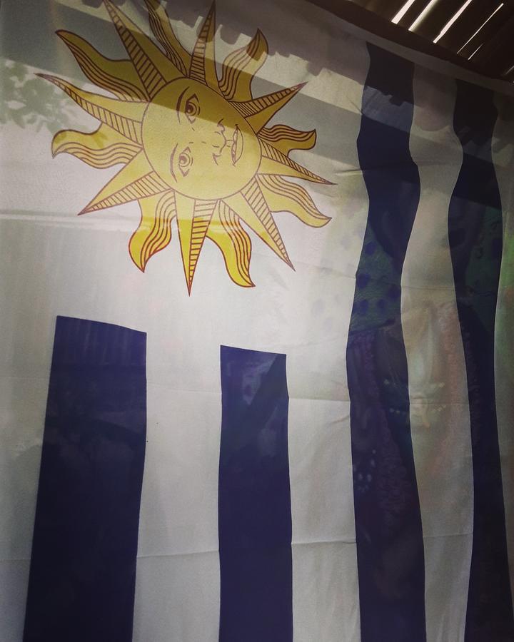 Frida Casa Hostel Pelotas Kültér fotó